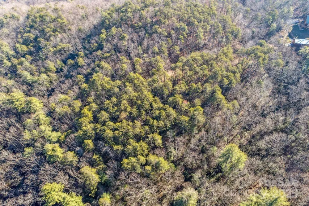 0 SASSAFRAS LANE Connelly Springs, NC 28612