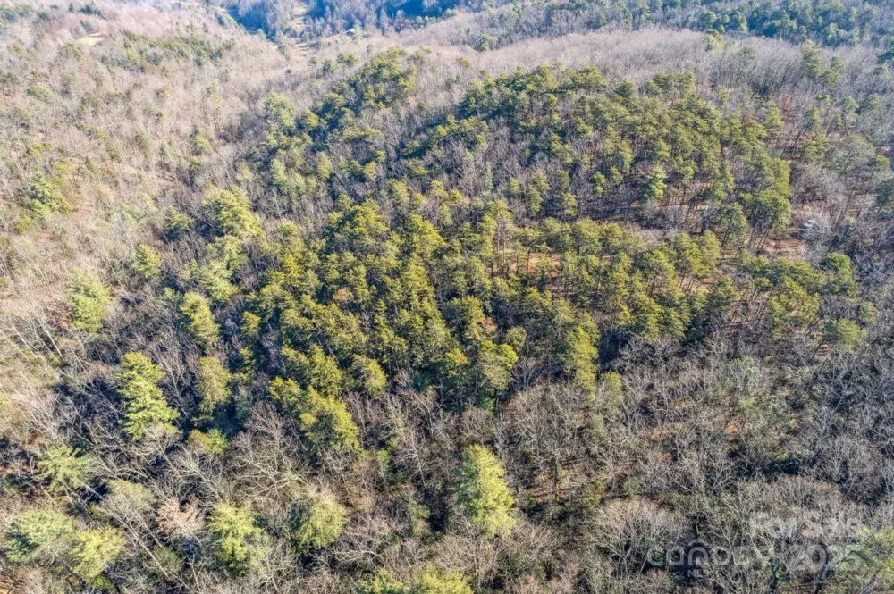 0 SASSAFRAS LANE Connelly Springs, NC 28612