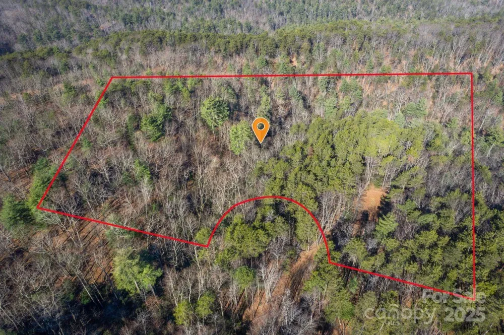 0 SASSAFRAS LANE Connelly Springs, NC 28612