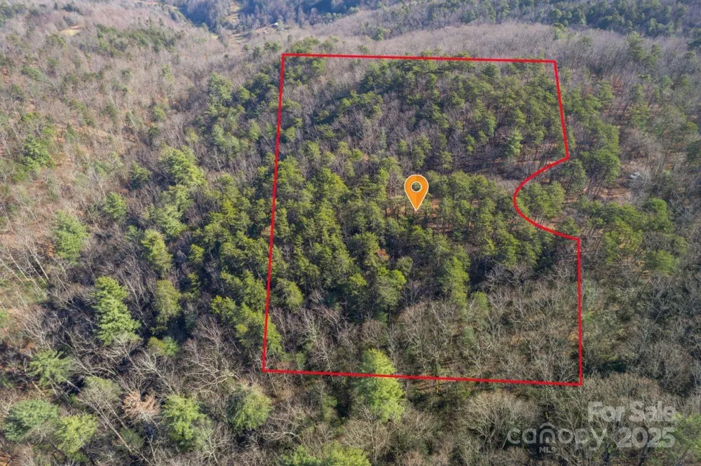 0 SASSAFRAS LANE Connelly Springs, NC 28612