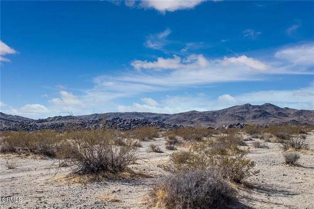 67090 Sunny Sands Drive Joshua Tree, CA 92252