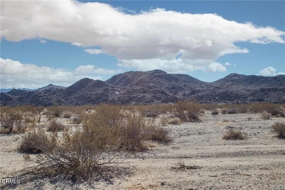 67090 Sunny Sands Drive Joshua Tree, CA 92252