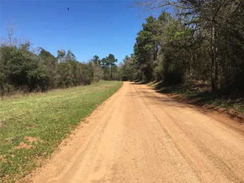 8 County Road 175