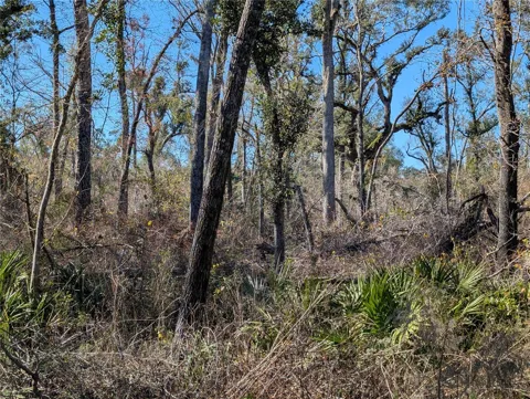 NW FOX RUN TRAIL #107