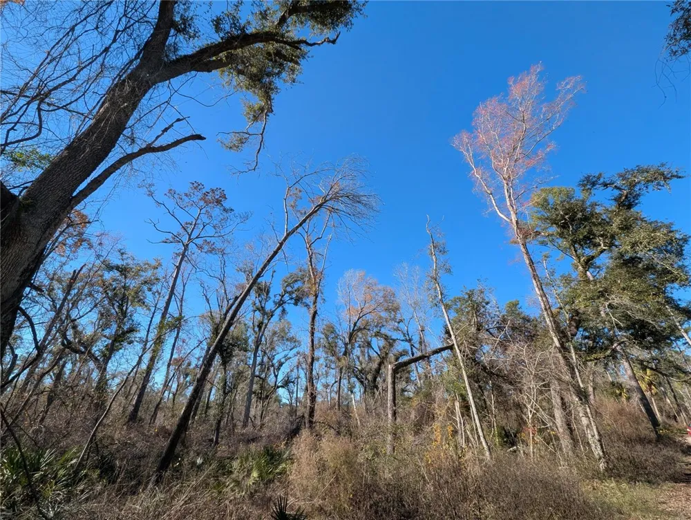NW FOX RUN TRAIL #107 Mayo, FL 32066