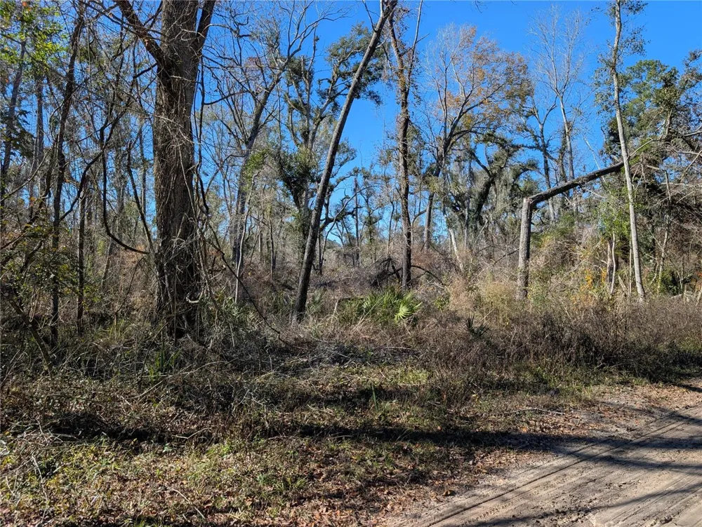 NW FOX RUN TRAIL #107 Mayo, FL 32066