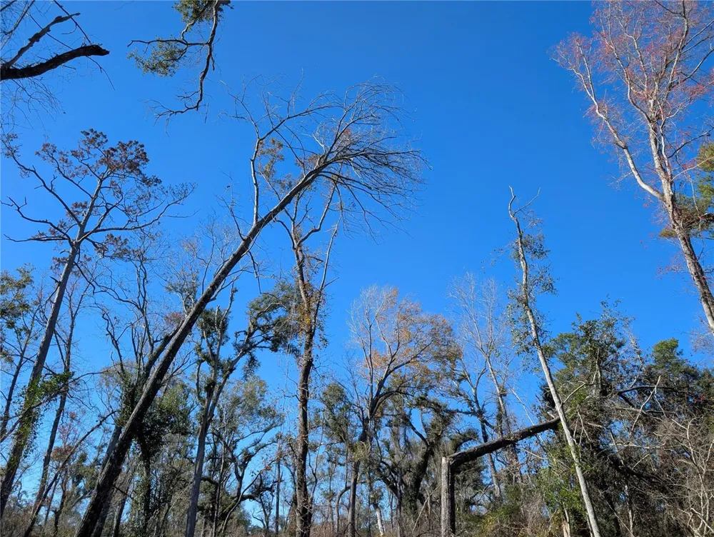 NW FOX RUN TRAIL #107 Mayo, FL 32066
