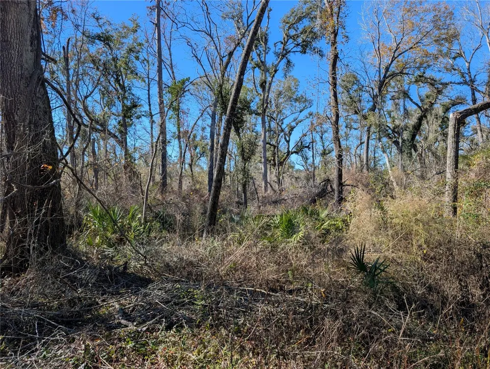 NW FOX RUN TRAIL #107 Mayo, FL 32066