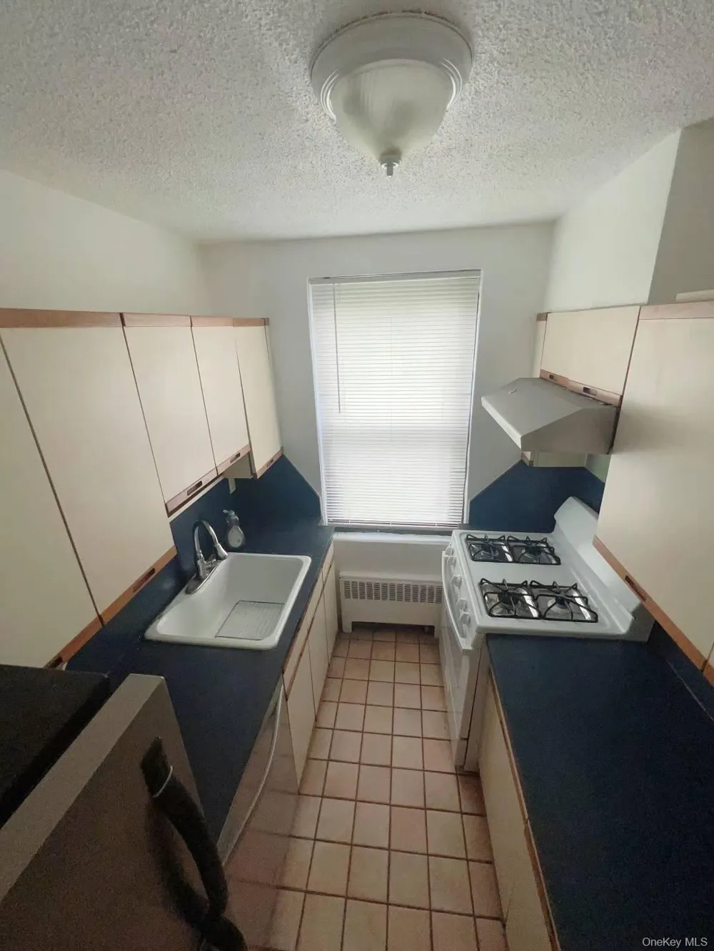 7107A Park Drive Kew Garden Hills, NY 11367