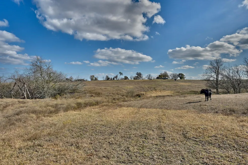 6921 Schulz Lane Bleiblerville, TX 78931