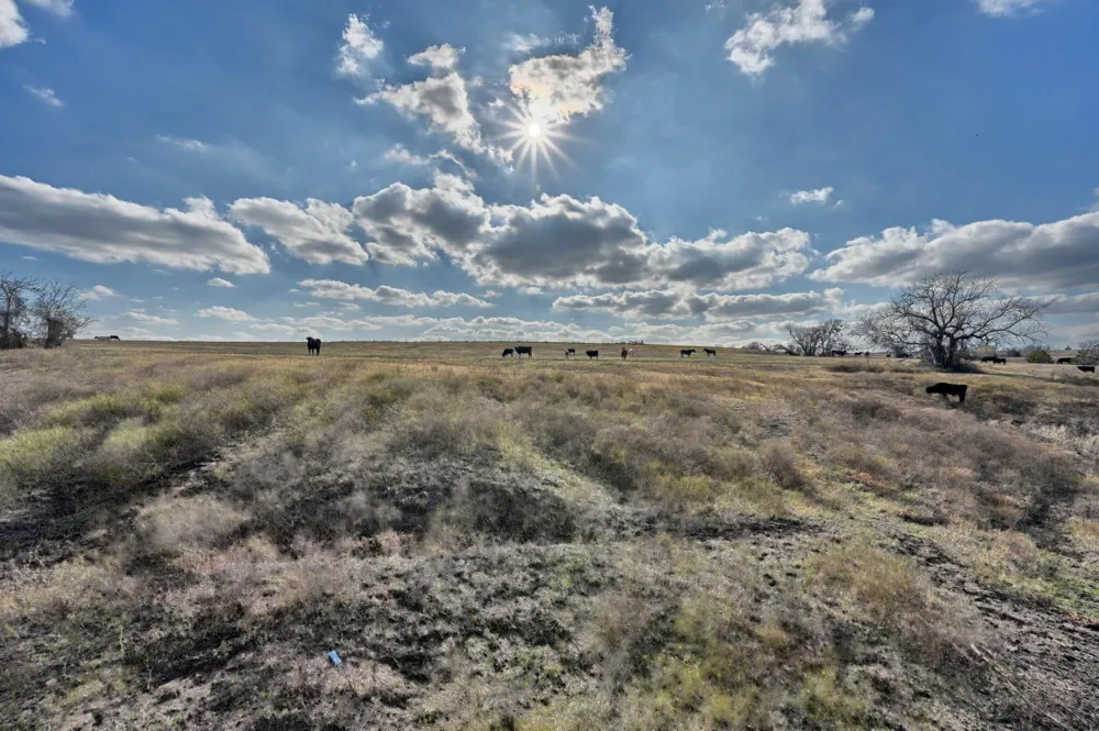 6921 Schulz Lane Bleiblerville, TX 78931