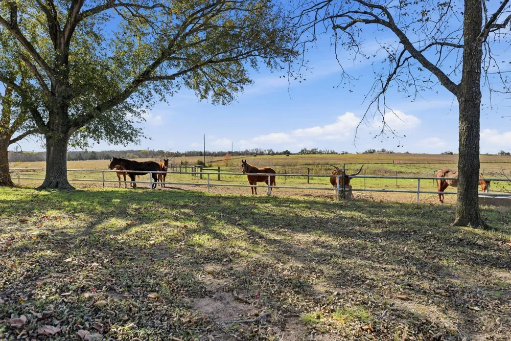 6921 Schulz Lane Bleiblerville, TX 78931