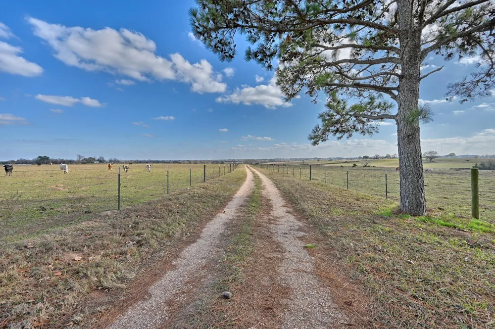 6921 Schulz Lane Bleiblerville, TX 78931