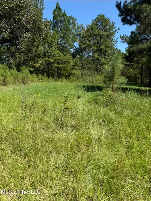 County Road 1113