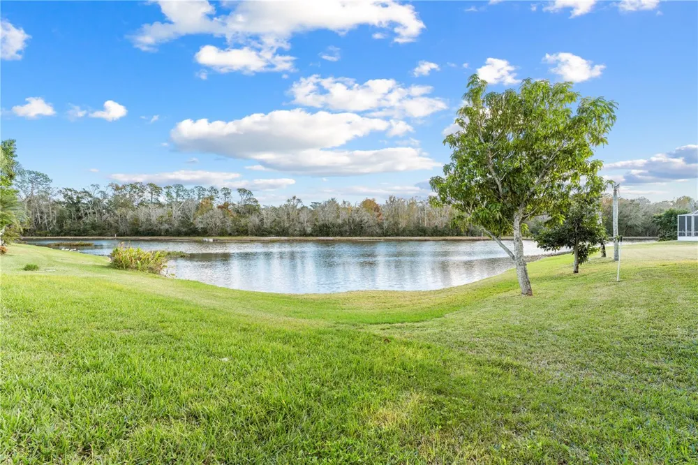 27416 BREAKERS DRIVE Wesley Chapel, FL 33544