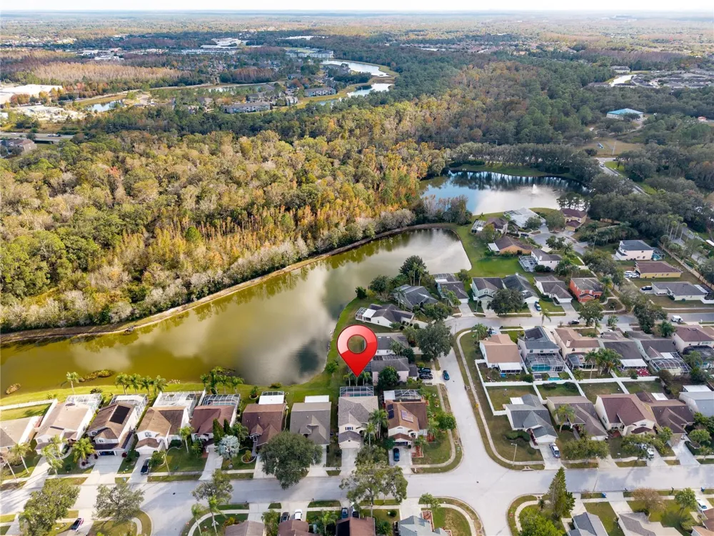 27416 BREAKERS DRIVE Wesley Chapel, FL 33544