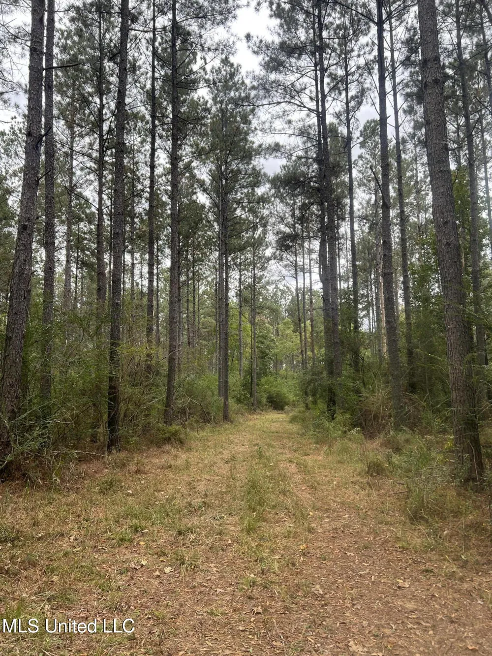 Enon Sartinville Road Jayess, MS 39641