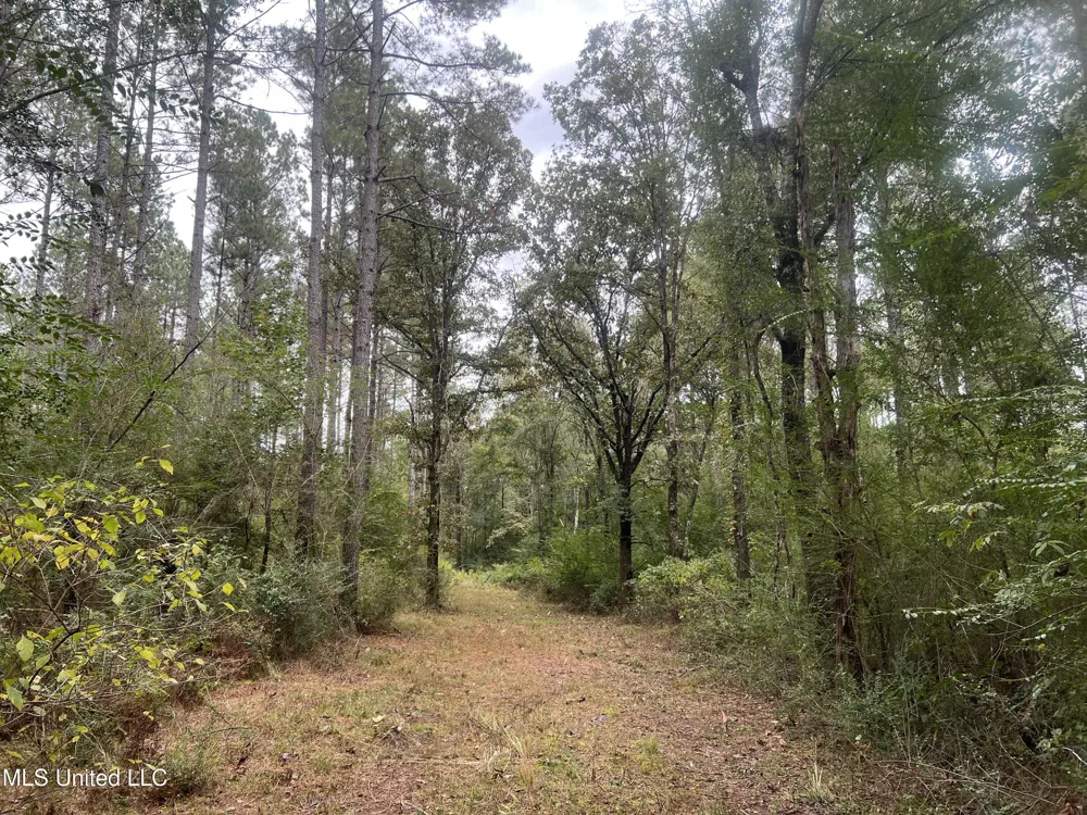 Enon Sartinville Road Jayess, MS 39641