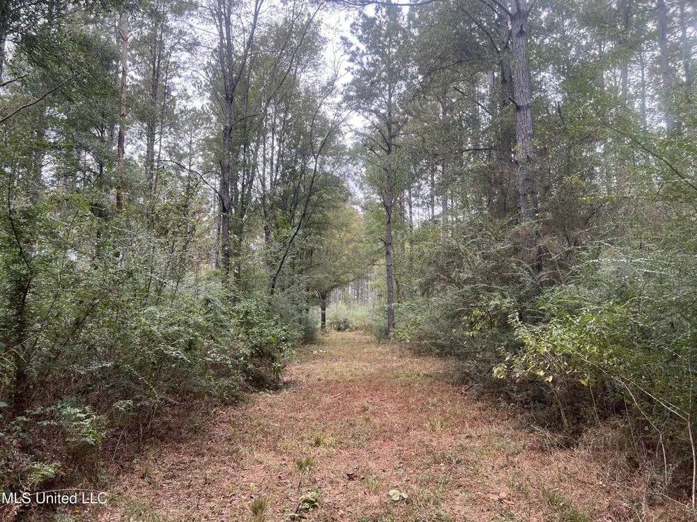 Enon Sartinville Road Jayess, MS 39641