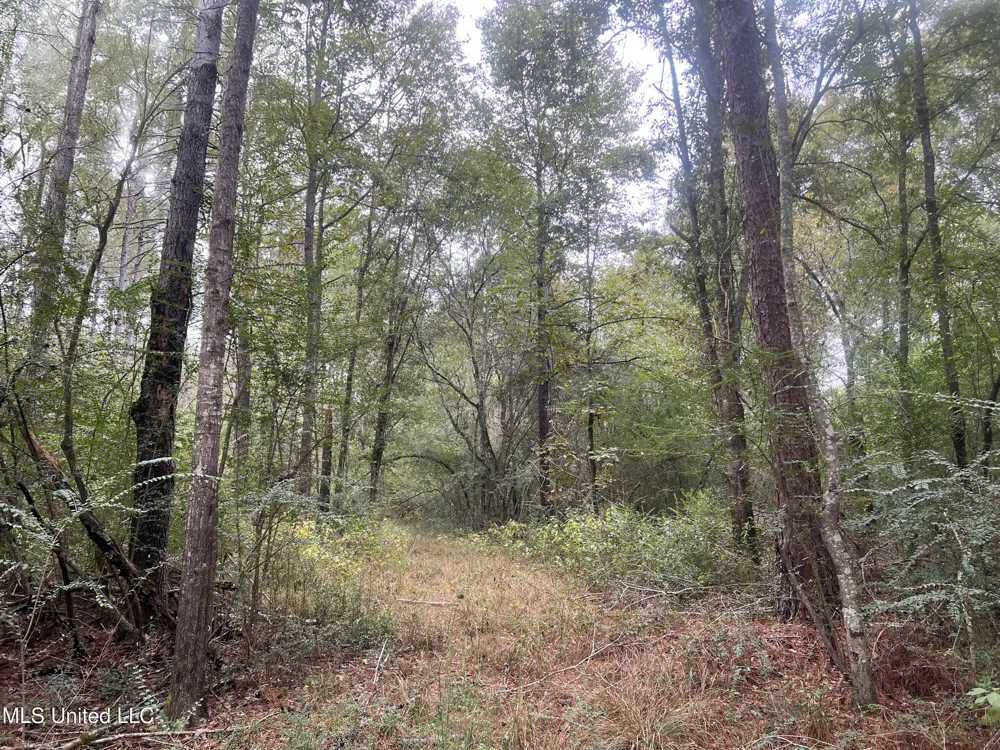 Enon Sartinville Road Jayess, MS 39641