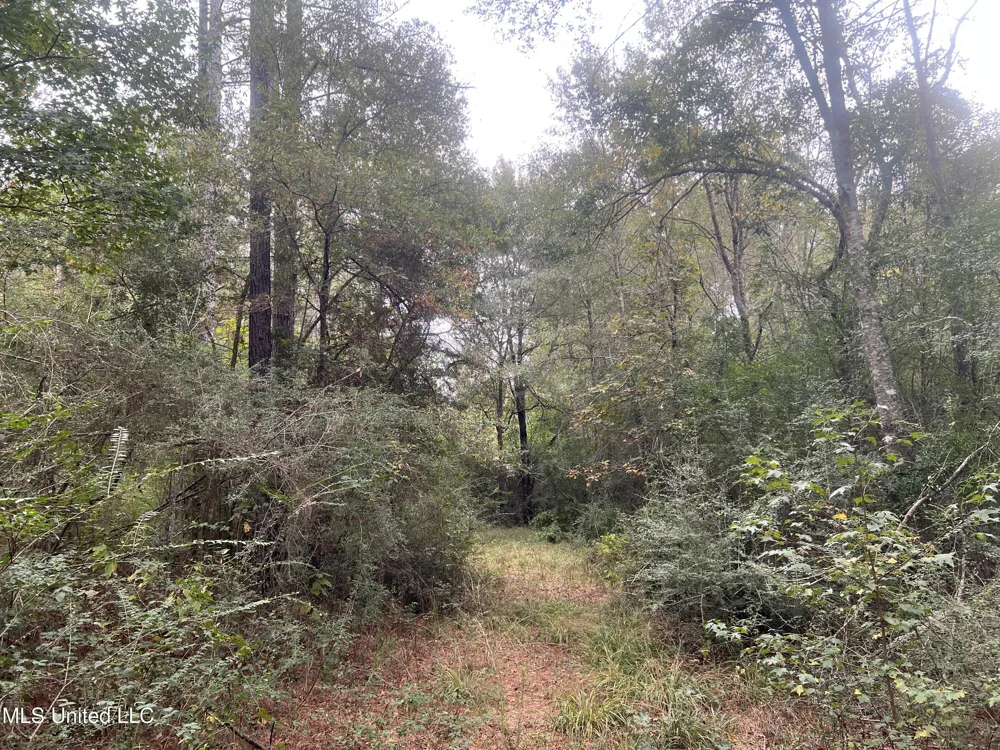 Enon Sartinville Road Jayess, MS 39641