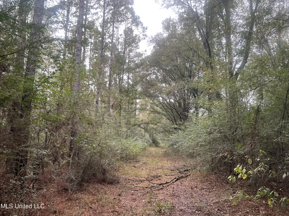 Enon Sartinville Road Jayess, MS 39641