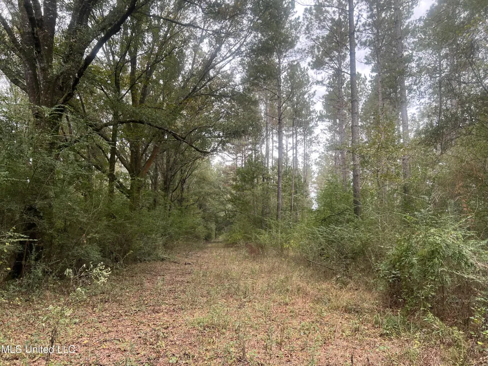 Enon Sartinville Road Jayess, MS 39641