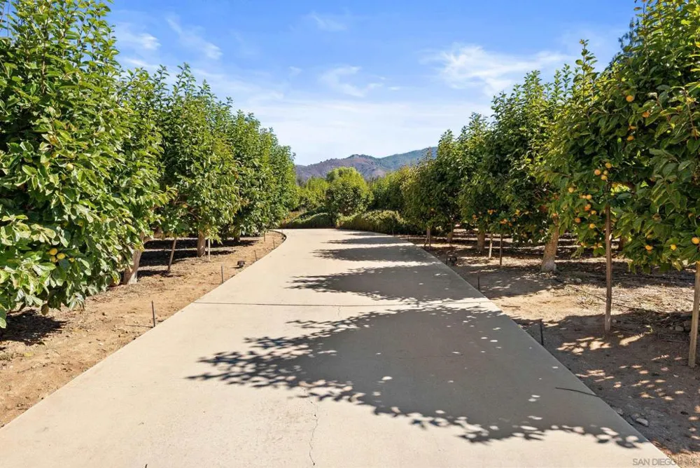 32752 Luiseno Circle Dr Pauma Valley, CA 92061