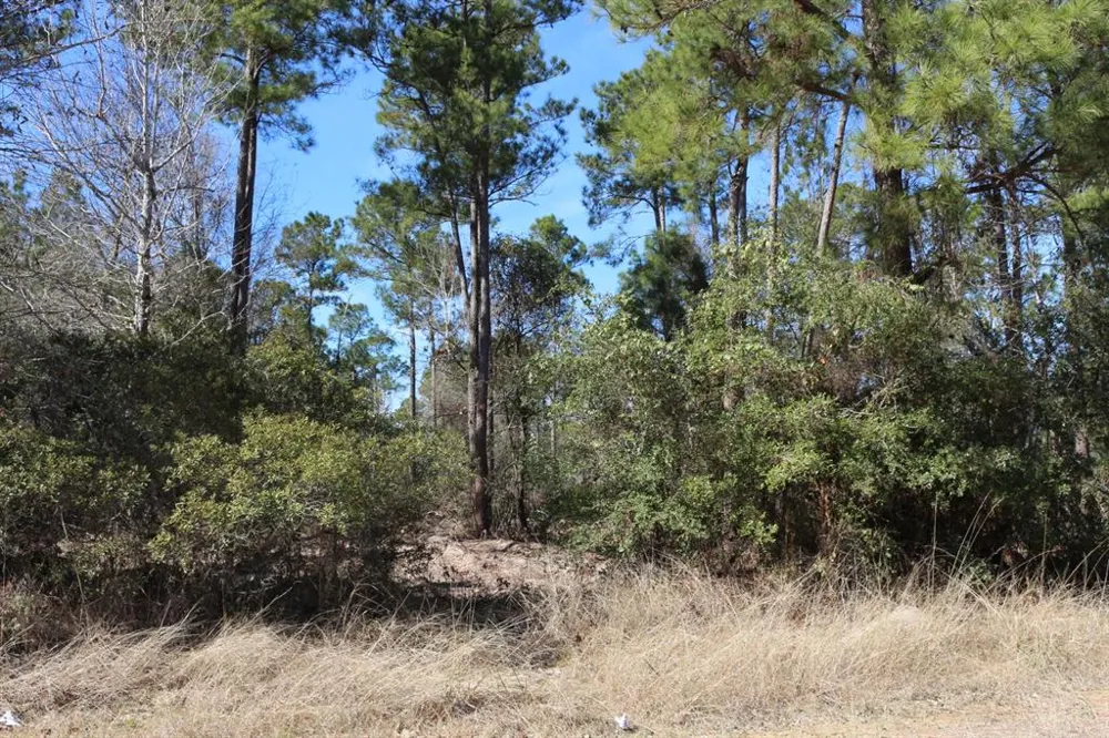 12 Hanson Road Onalaska, TX 77360