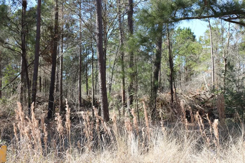 12 Hanson Road Onalaska, TX 77360