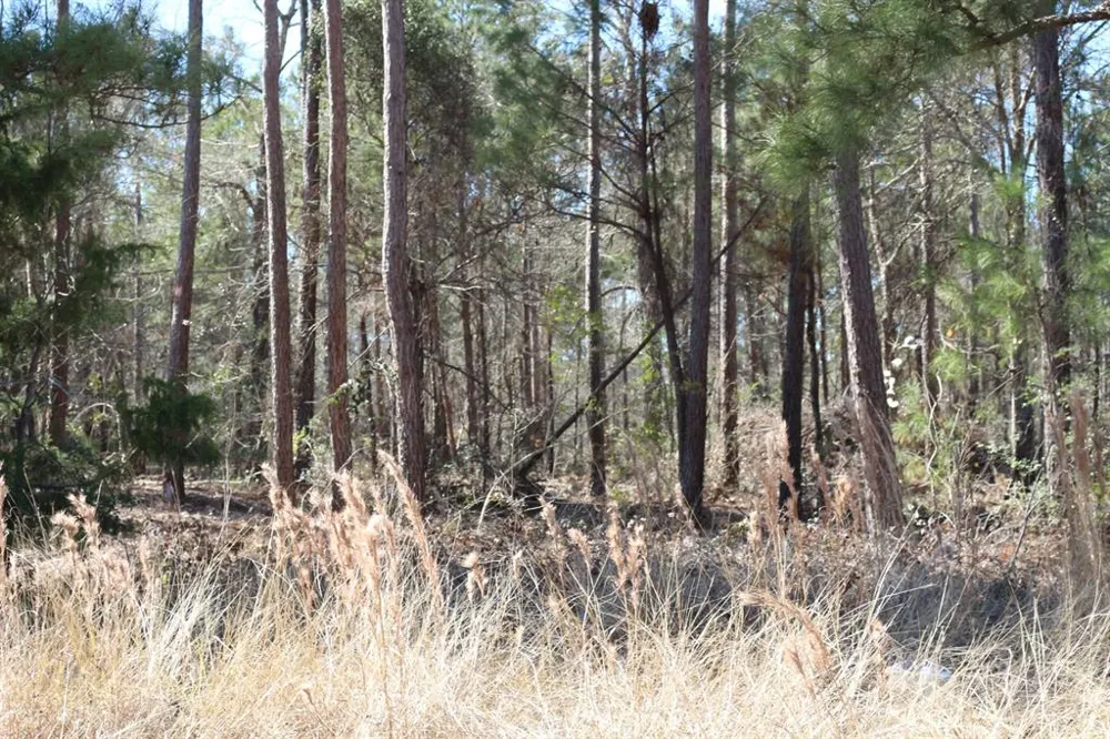 12 Hanson Road Onalaska, TX 77360