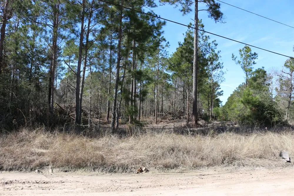12 Hanson Road Onalaska, TX 77360