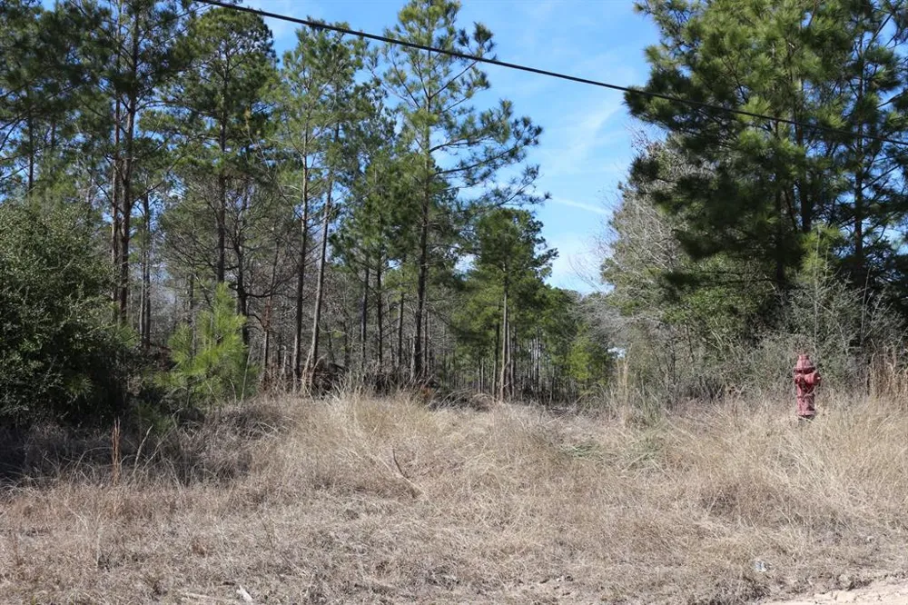 12 Hanson Road Onalaska, TX 77360