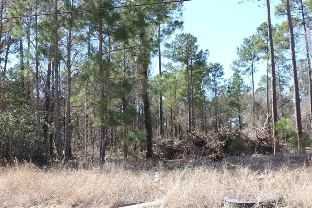 12 Hanson Road Onalaska, TX 77360