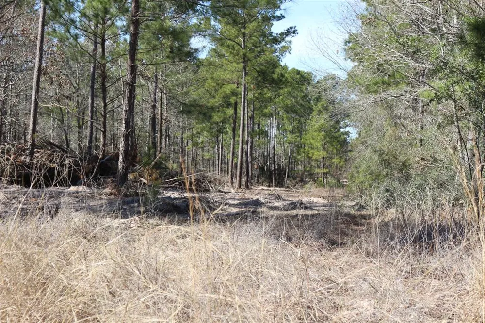 12 Hanson Road Onalaska, TX 77360