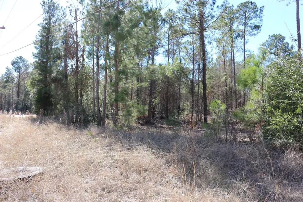 12 Hanson Road Onalaska, TX 77360