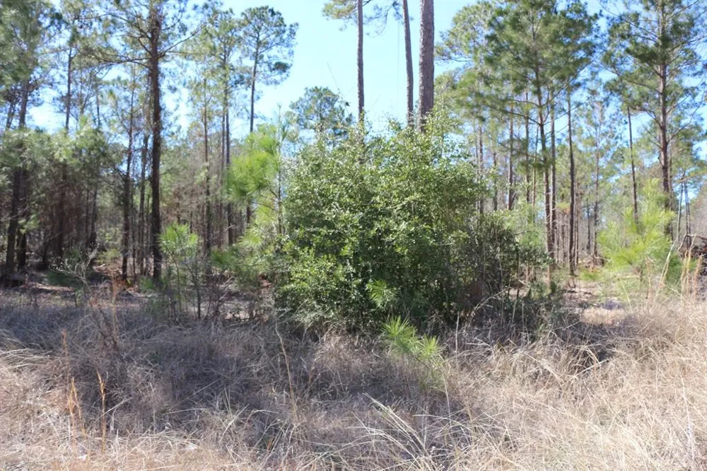 12 Hanson Road Onalaska, TX 77360