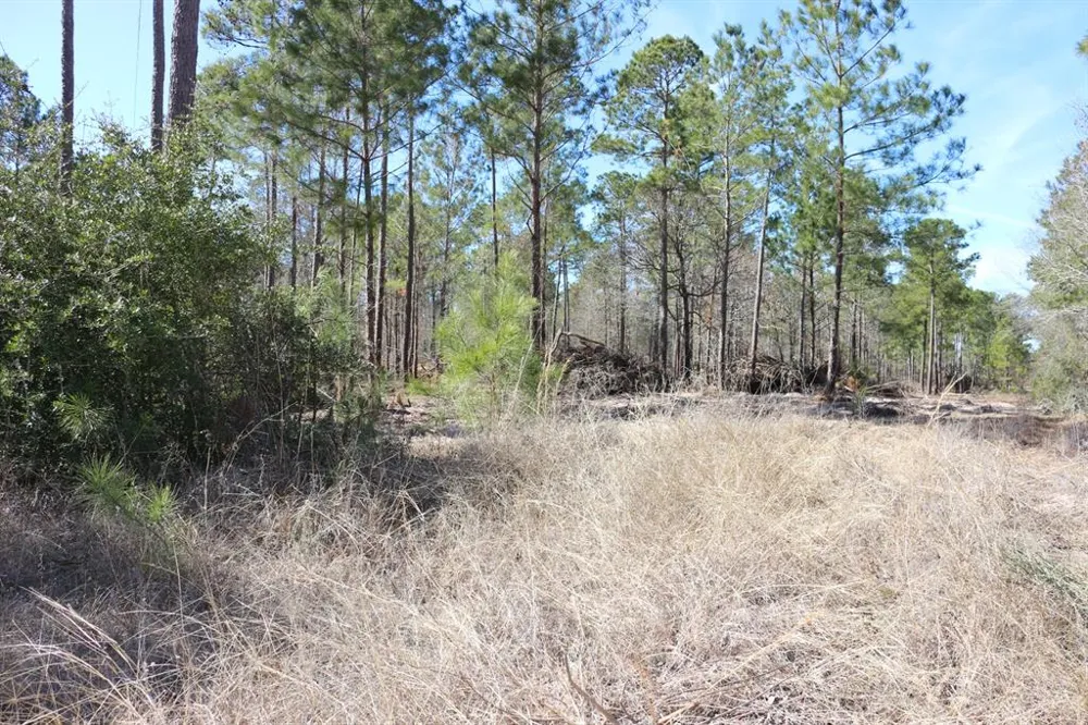 12 Hanson Road Onalaska, TX 77360