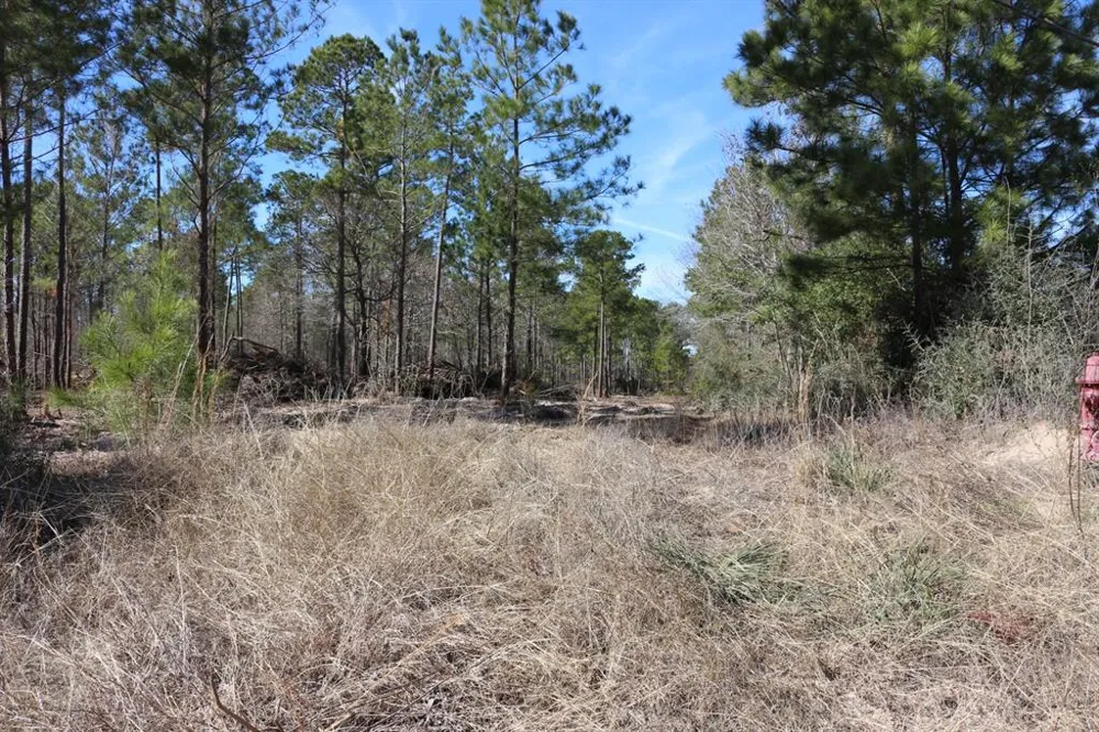 12 Hanson Road Onalaska, TX 77360