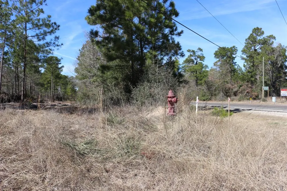 12 Hanson Road Onalaska, TX 77360