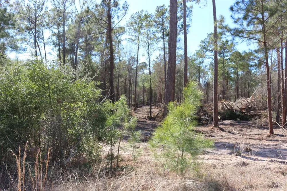 12 Hanson Road Onalaska, TX 77360