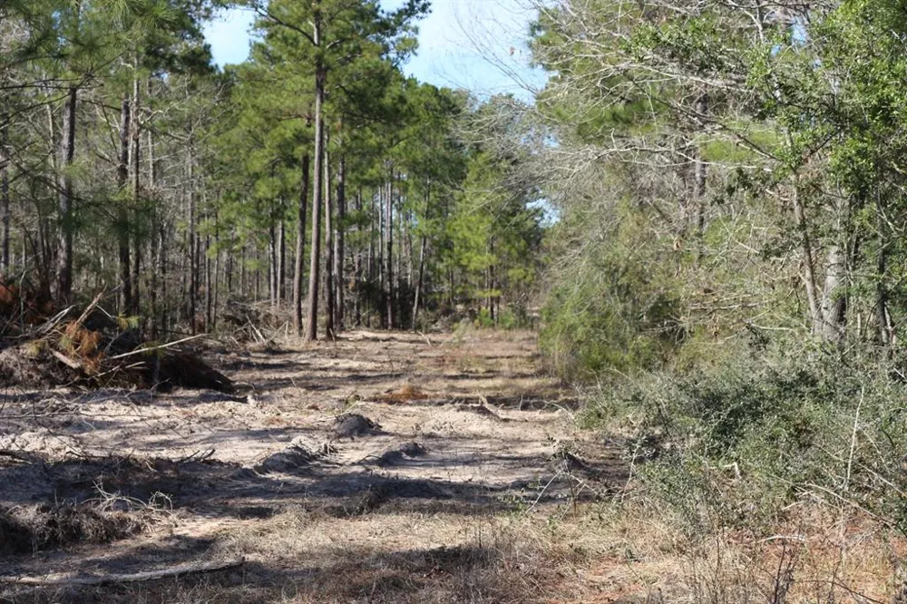 12 Hanson Road Onalaska, TX 77360