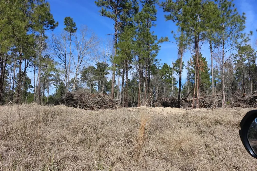 12 Hanson Road Onalaska, TX 77360