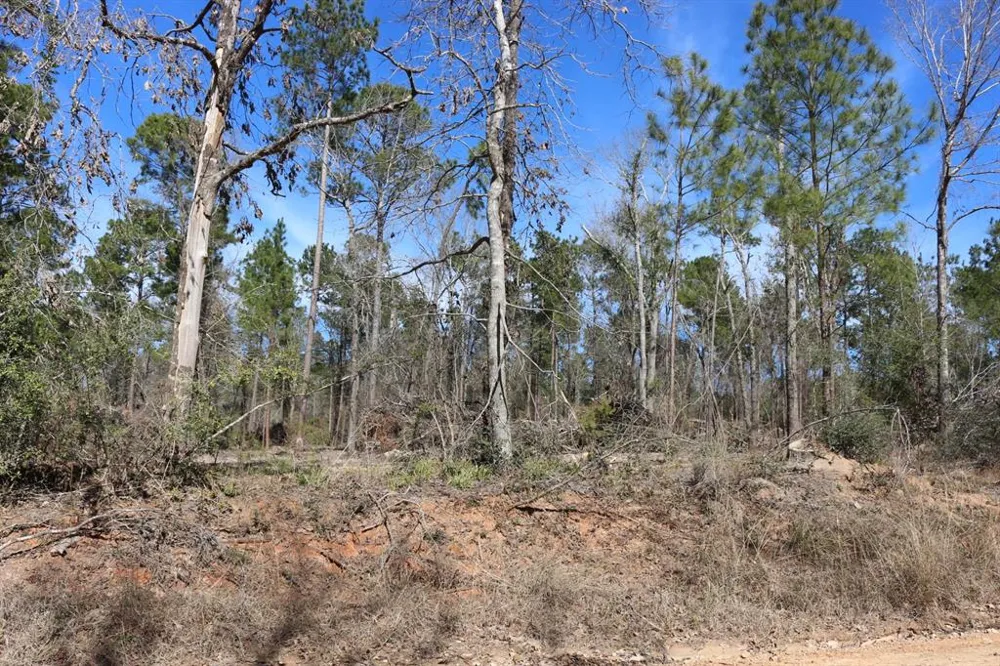 12 Hanson Road Onalaska, TX 77360