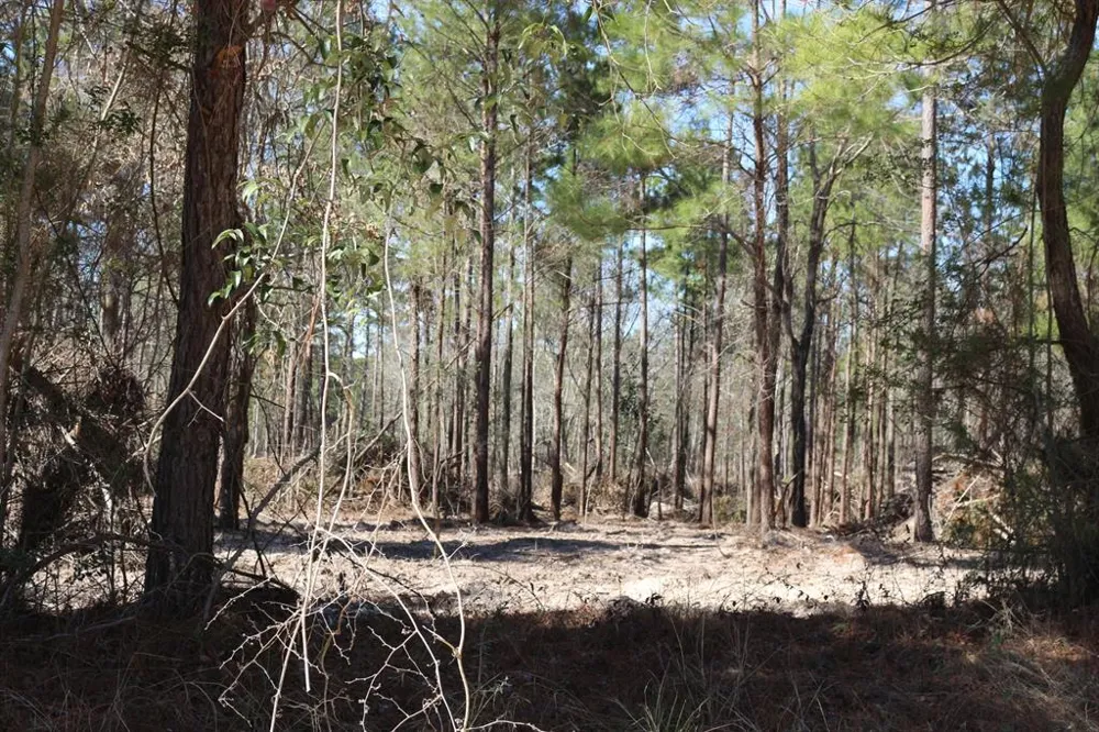 12 Hanson Road Onalaska, TX 77360