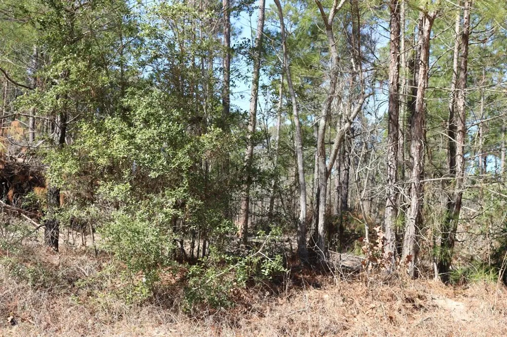 12 Hanson Road Onalaska, TX 77360