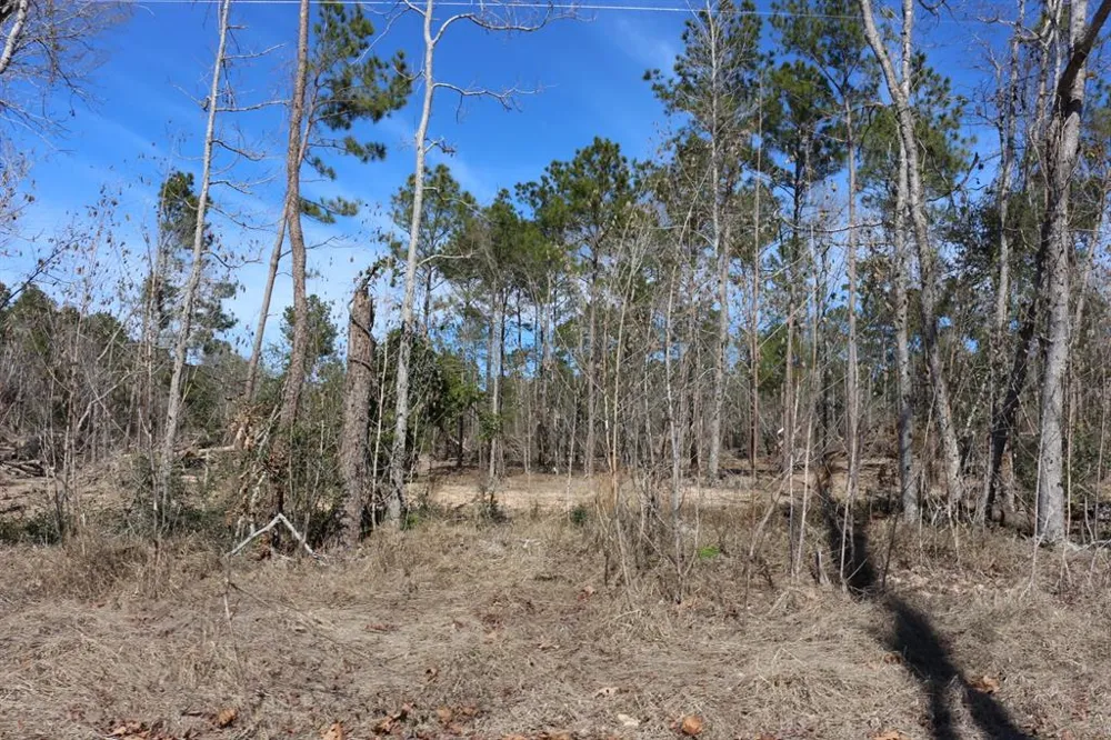 12 Hanson Road Onalaska, TX 77360