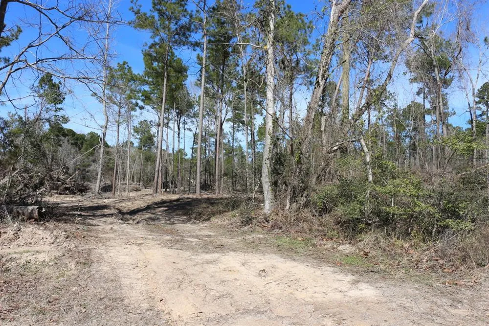 12 Hanson Road Onalaska, TX 77360