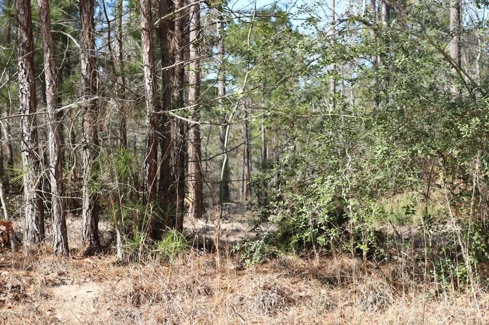 12 Hanson Road Onalaska, TX 77360