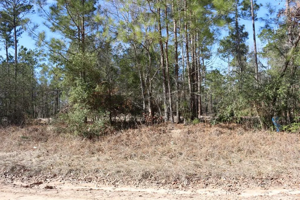 12 Hanson Road Onalaska, TX 77360